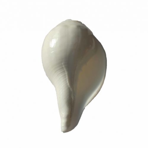 Narayan Shankh NS01